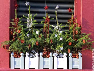 Lotte phan thiet don noel